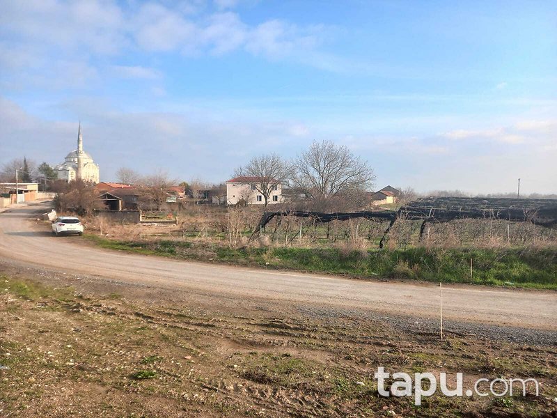 Tekirdağ Ergene Paşaköy'de 31 Dönüm Meyve Bahçesi
