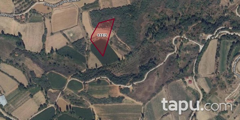 İzmir Ödemiş Çobanlar'da 4.268 m2 Tarla