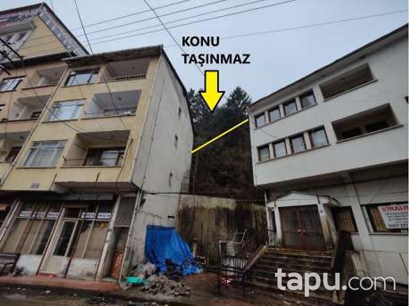 Trabzon Of Cumapazarı'nda Hisseli 5 Dönüm Çalılık