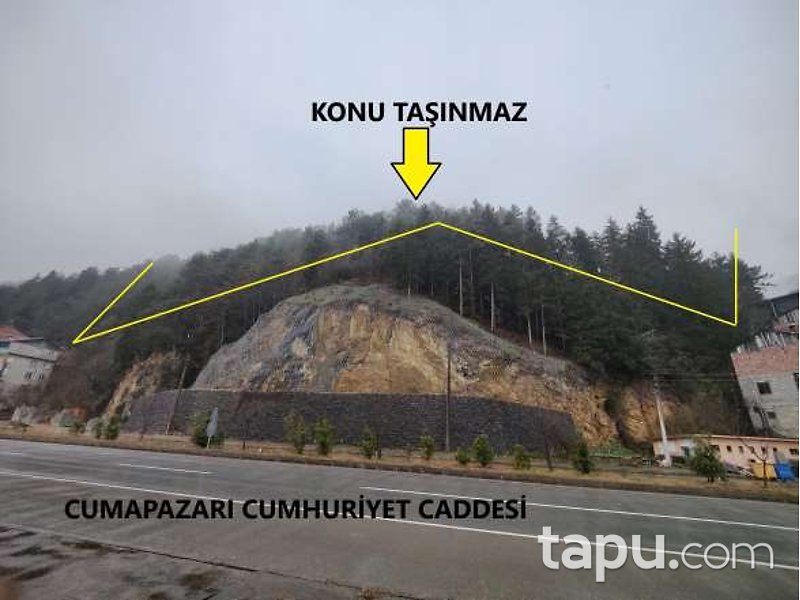 Trabzon Of Cumapazarı'nda Hisseli 5 Dönüm Çalılık
