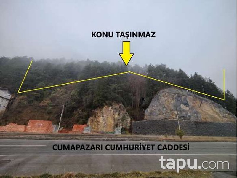 Trabzon Of Cumapazarı'nda Hisseli 5 Dönüm Çalılık