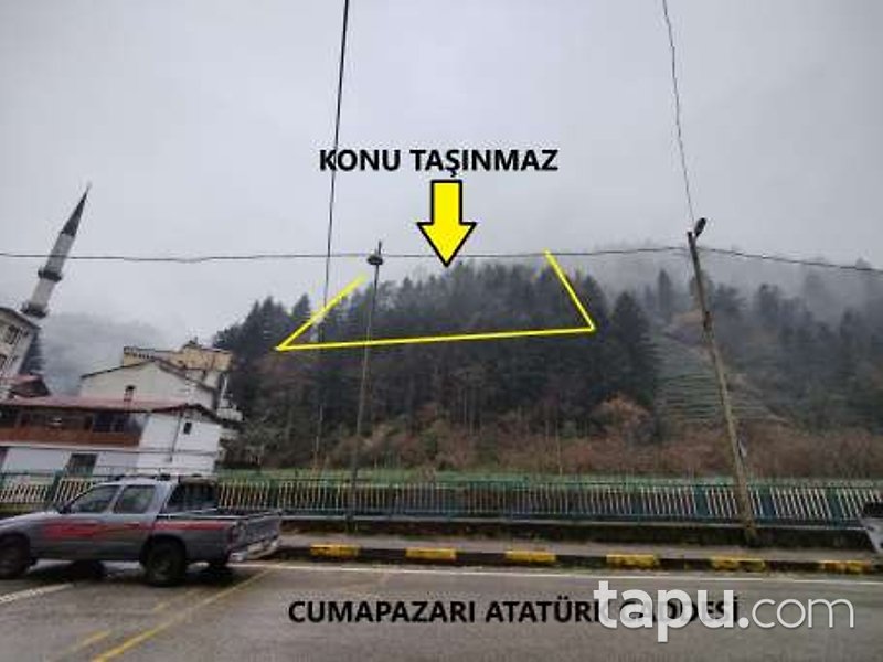 Trabzon Of Cumapazarı'nda Hisseli 5 Dönüm Çalılık