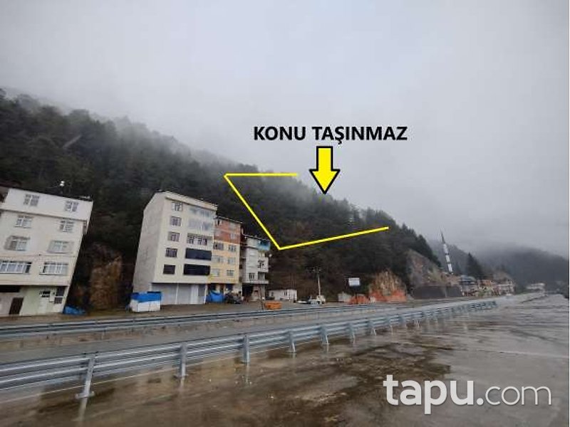 Trabzon Of Cumapazarı'nda Hisseli 5 Dönüm Çalılık