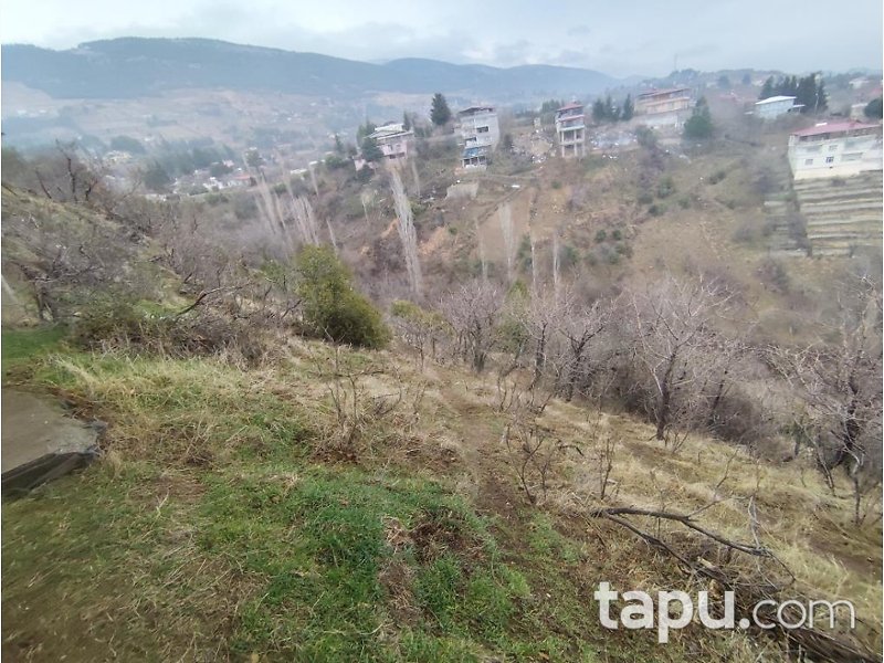 Kahramanmaraş Dulkadiroğlu Sarıkaya'da Hisseli 1.258 m2 Bağ