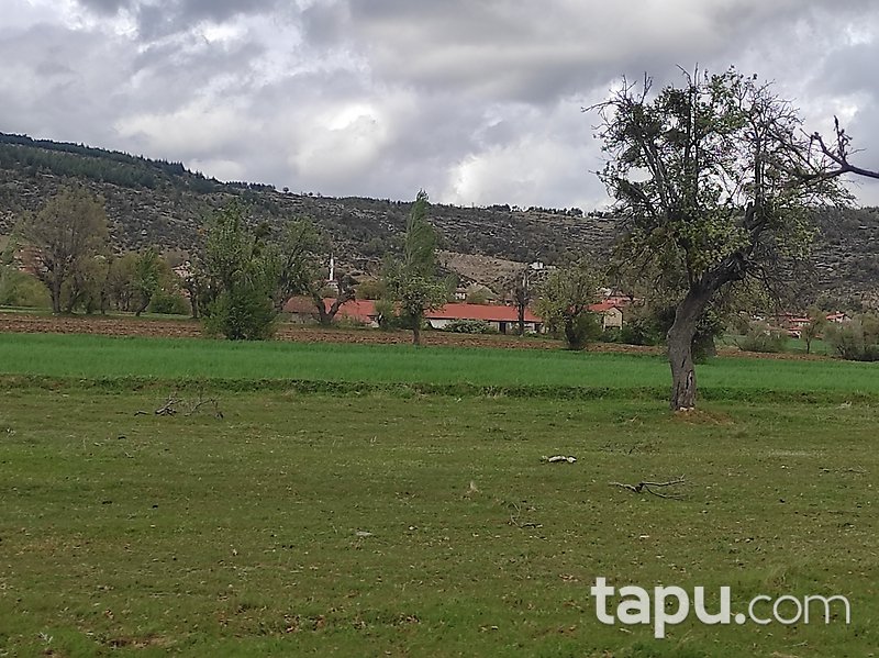 Kütahya'da Yatırımlık 3.771 m2 Tarla
