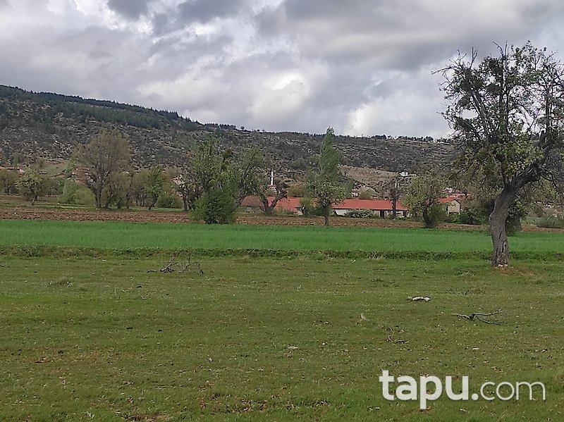 Kütahya'da Yatırımlık 3.771 m2 Tarla