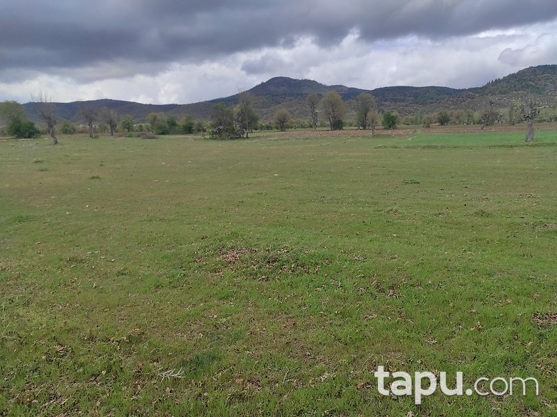 Kütahya'da Yatırımlık 3.771 m2 Tarla