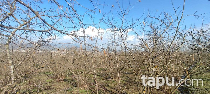 Düzce Gümüşova'da Konut İmarlı Arsa (AS-02670)