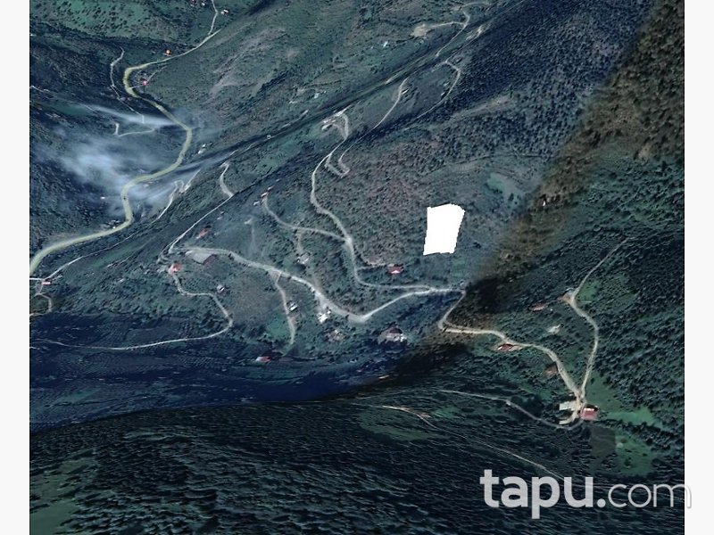 Trabzon Araklı'da 3 Dönüm Fındık Bahçesi