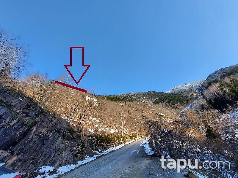 Trabzon Araklı'da 3 Dönüm Fındık Bahçesi