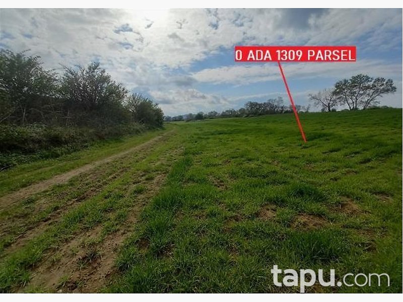Balıkesir Manyas'ta Hisseli 4 Dönüm Tarla