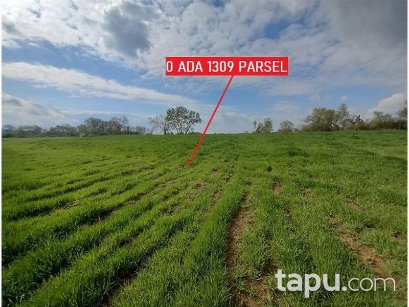 Balıkesir Manyas'ta Hisseli 4 Dönüm Tarla