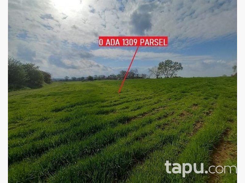 Balıkesir Manyas'ta Hisseli 4 Dönüm Tarla