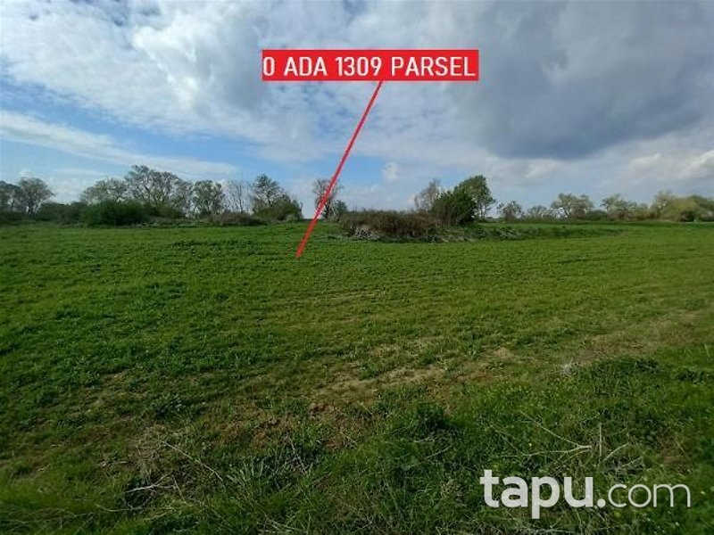 Balıkesir Manyas'ta Hisseli 4 Dönüm Tarla