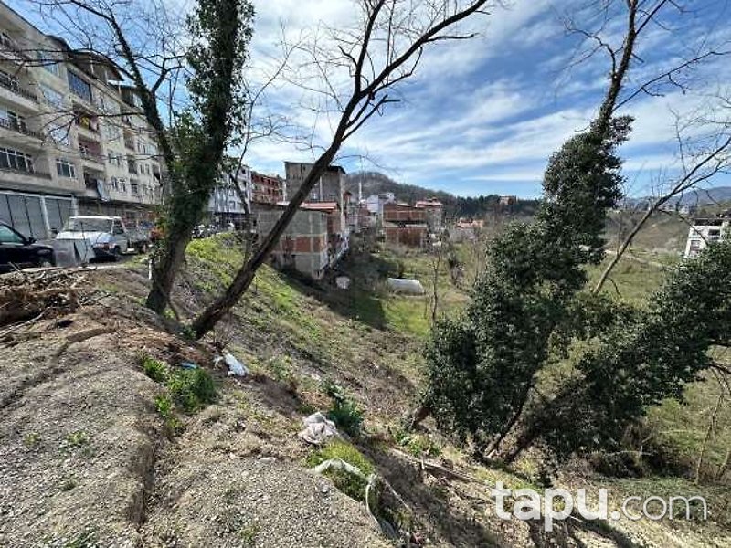 Ordu Ulubey Çatallı Mahallesi'nde Hisseli Konut İmarlı Arsa