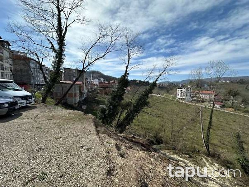Ordu Ulubey Çatallı Mahallesi'nde Hisseli Konut İmarlı Arsa