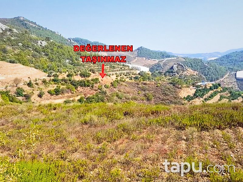 Alanya Hocalar'da Hisseli 7 Dönüm Tarla