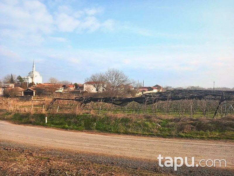 Tekirdağ Ergene Paşaköy'de 31 Dönüm Meyve Bahçesi
