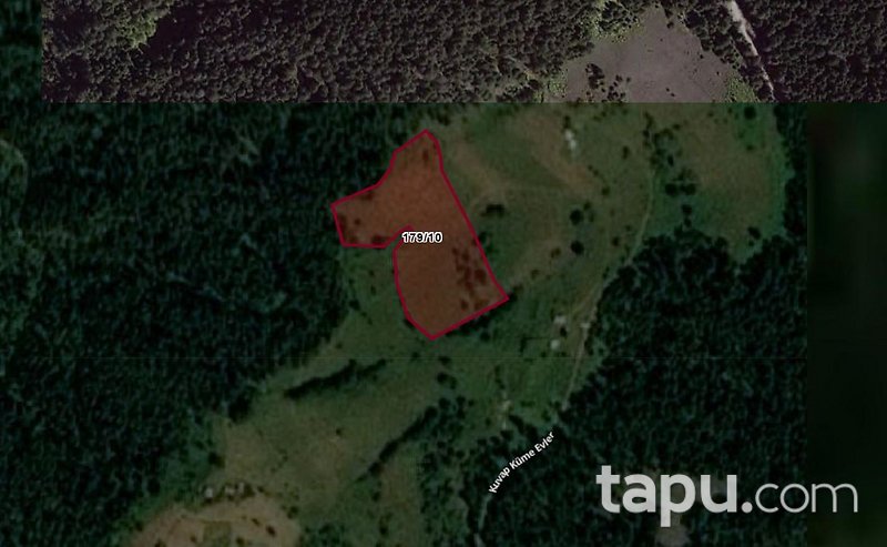 Artvin Merkez Taşlıca'da Hisseli 3 Dönüm Tarla
