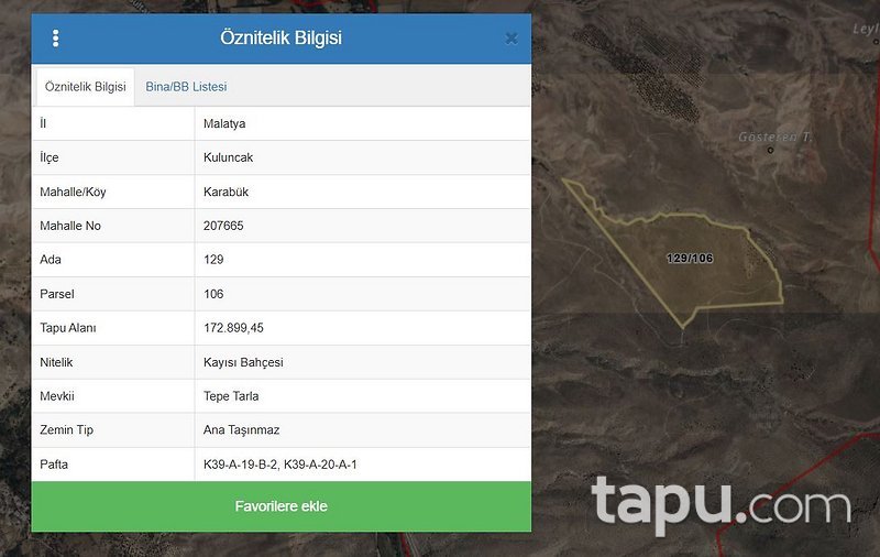 Malatya Kuluncak'ta Hisseli 34.579 m2 Kayısı Bahçesi