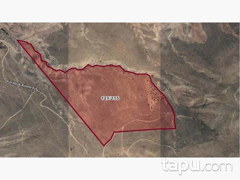 Malatya Kuluncak'ta Hisseli 34.579 m2 Kayısı Bahçesi