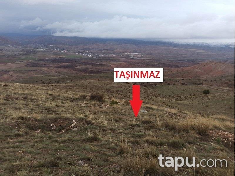 Malatya Kuluncak'ta Hisseli 34.579 m2 Kayısı Bahçesi