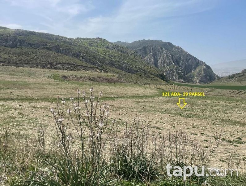 Hatay Antakya Kuruyer'de %83 Hisseli 11 Dönüm Tarla