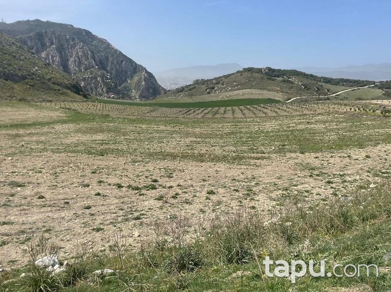 Hatay Antakya Kuruyer'de %83 Hisseli 11 Dönüm Tarla