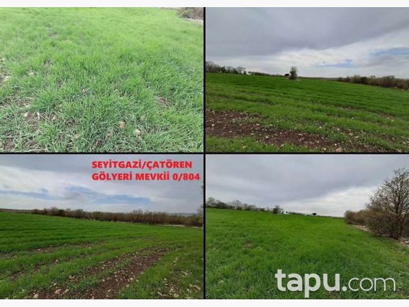 Eskişehir Seyitgazi Çatören'de 25 Dönüm Tarla