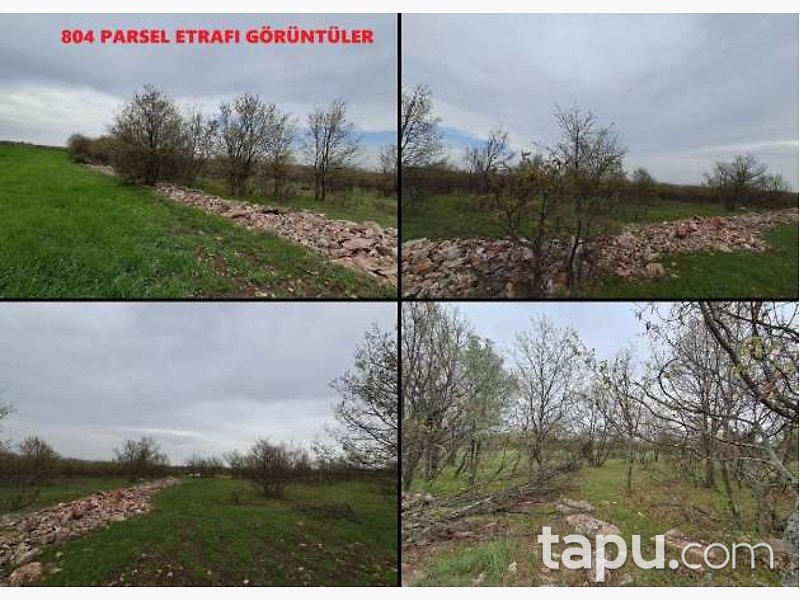 Eskişehir Seyitgazi Çatören'de 25 Dönüm Tarla