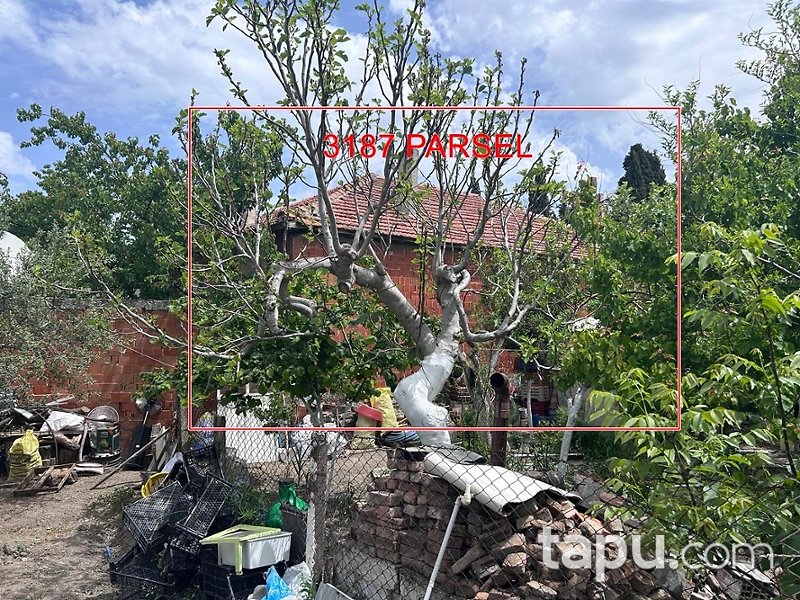 Manisa Kırkağaç Gelenbe Mahallesi'nde Tek Katlı Betonarme Ev