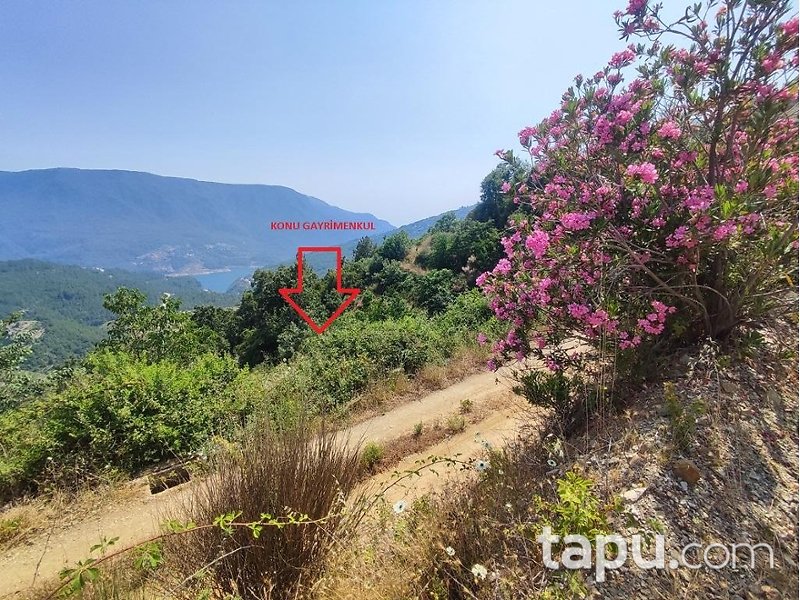 Alanya Akçatı'da Hisseli 1.334 m2 Tarla