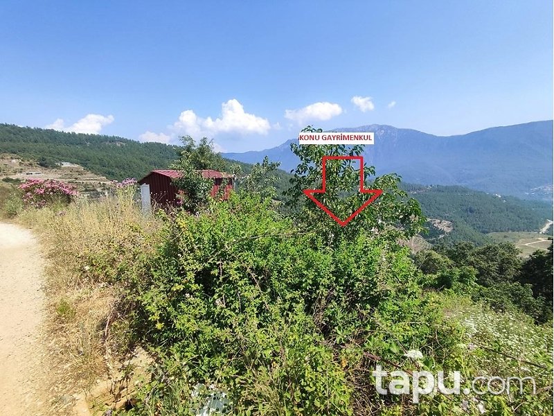 Alanya Akçatı'da Hisseli 1.334 m2 Tarla