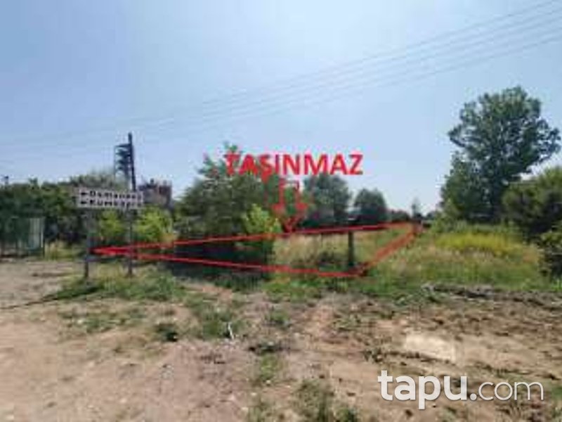 Sakarya Akyazı Osmanbey'de Hisseli 3 Dönüm Tarla