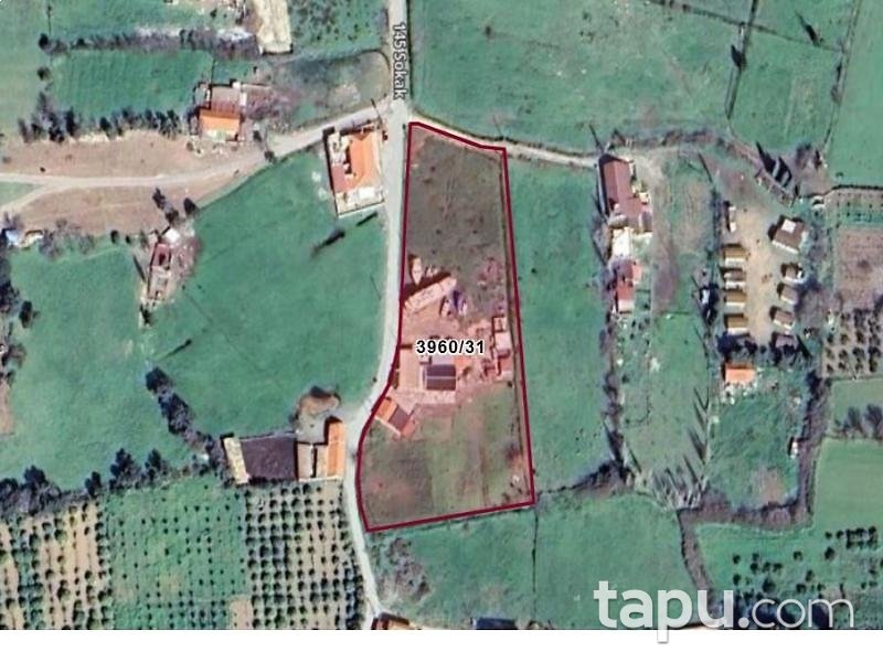 İzmir Seferihisar Sığacık'ta Hisseli 3.580 m2 Kerpiç Damı Olan Tarla (AS-00223)