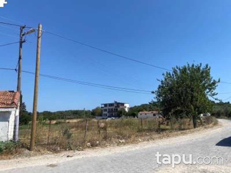 İzmir Seferihisar Sığacık'ta Hisseli 3.580 m2 Kerpiç Damı Olan Tarla (AS-00223)