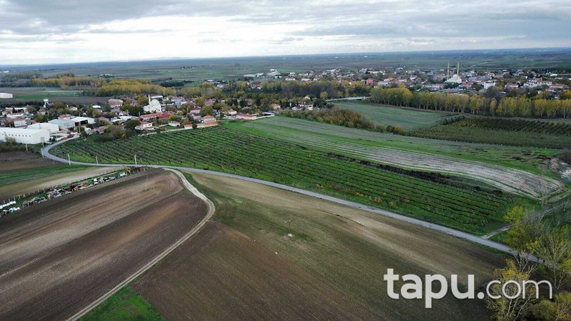 Tekirdağ Ergene Paşaköy'de 31 Dönüm Meyve Bahçesi