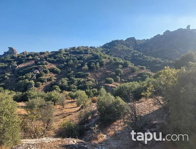 Muğla Yatağan Yava'da 19.852 m2 Tarla
