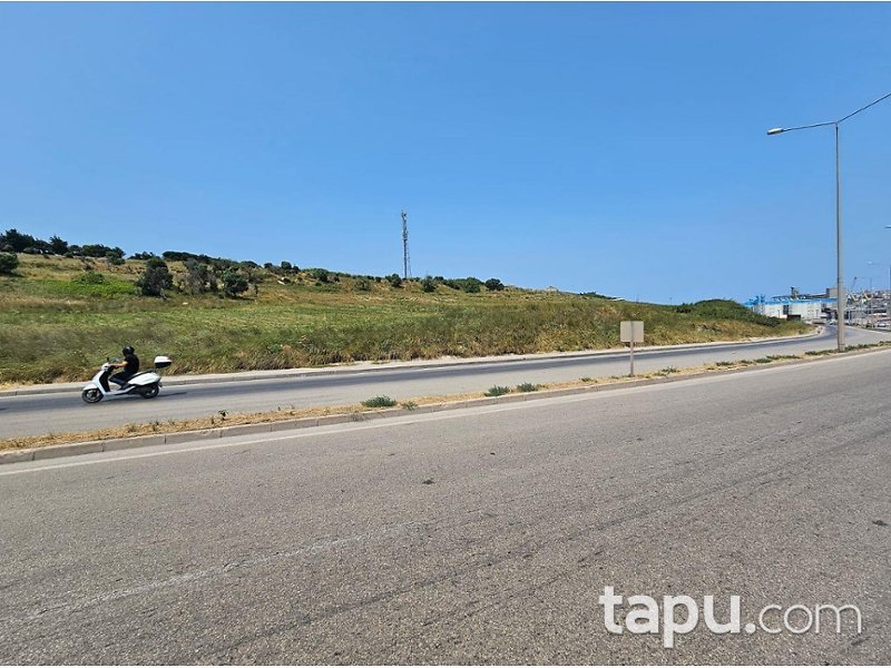 Bandırma Ayyıldız'da Yarı Hisseli 1.908 m² Tarla