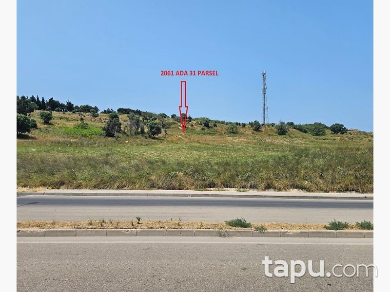 Bandırma Ayyıldız'da Yarı Hisseli 1.908 m² Tarla