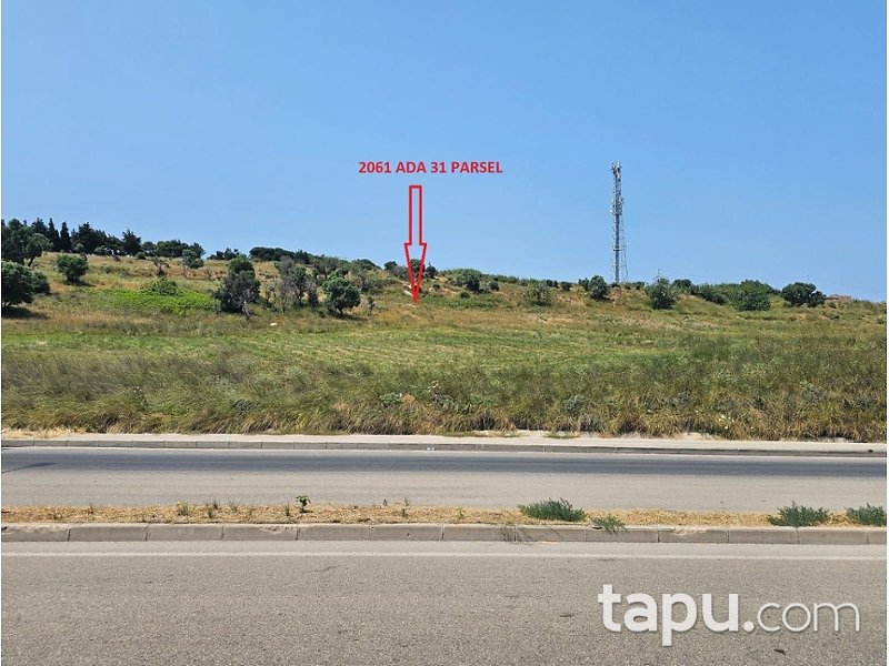 Bandırma Ayyıldız'da Yarı Hisseli 1.908 m² Tarla