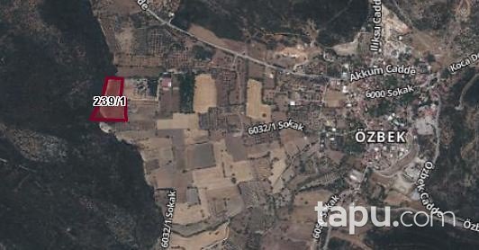 Urla Özbek’te Yatırım Potansiyelli 13.183 m2 Zeytin Ağaçlı Tarla