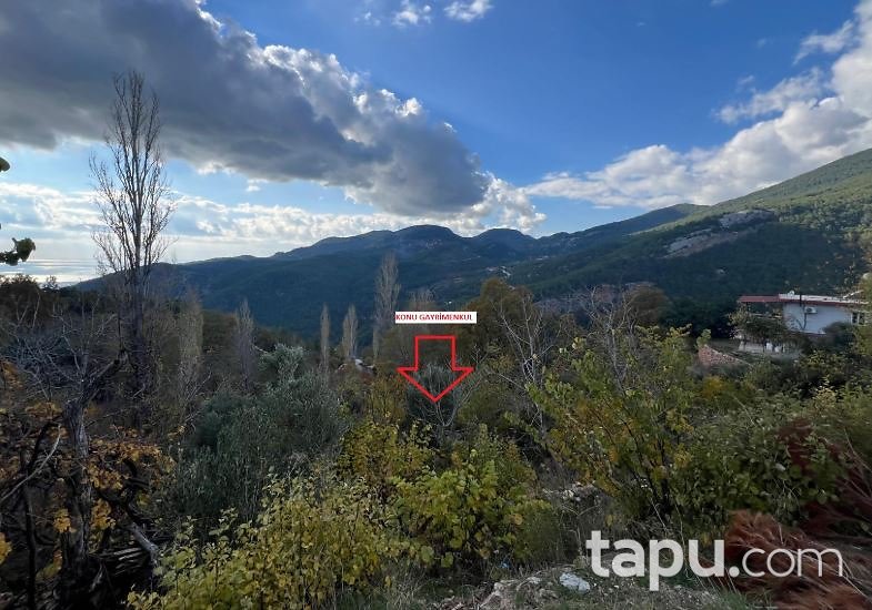 Alanya Bademağacı'nde 618 m2 Bahçe