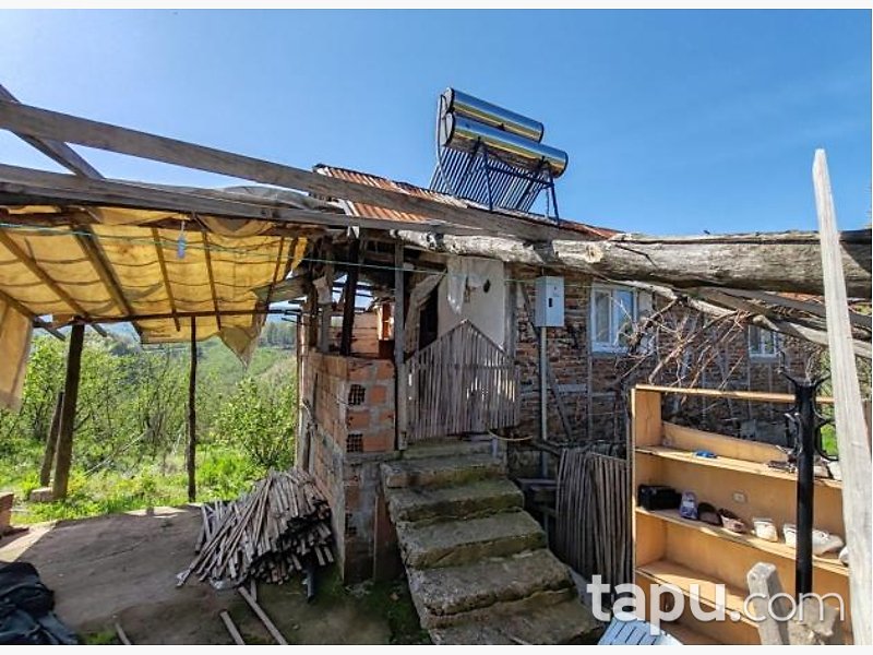Düzce Akçakoca Tepeköy'de Hisseli 5676 m2 tarla