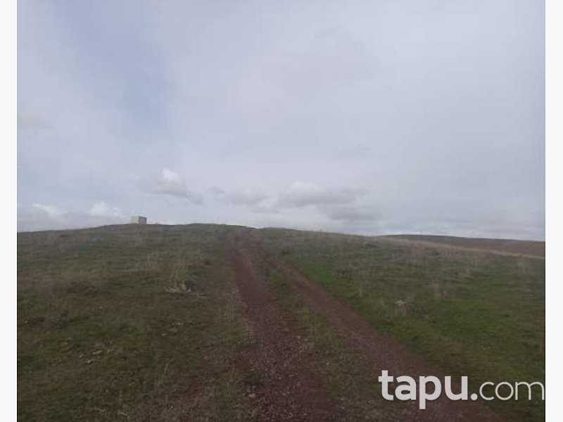 Tokat Merkez'de 14 Dönüm Tarla