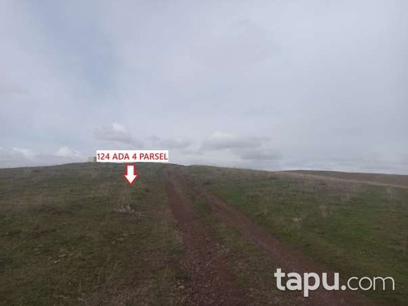 Tokat Merkez'de 14 Dönüm Tarla