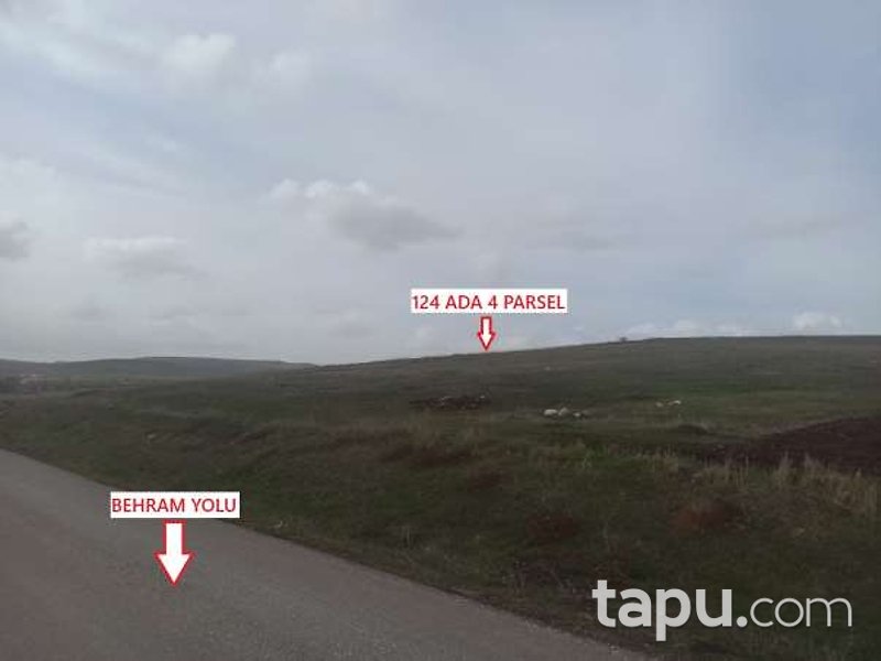 Tokat Merkez'de 14 Dönüm Tarla