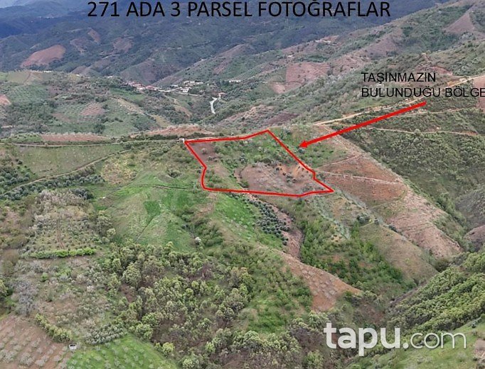İzmir Kiraz'da 5.176 m2 Tarla