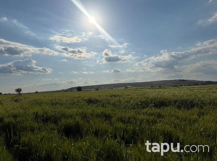 Gaziantep Oğuzeli'nde 21 Dönüm Tarla