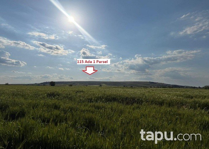Gaziantep Oğuzeli'nde 21 Dönüm Tarla